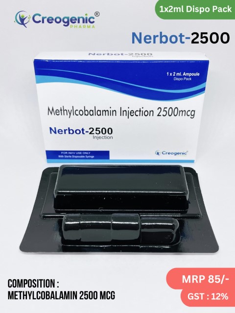 Nerbot-2500
